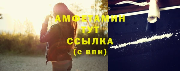 соль ск Богданович