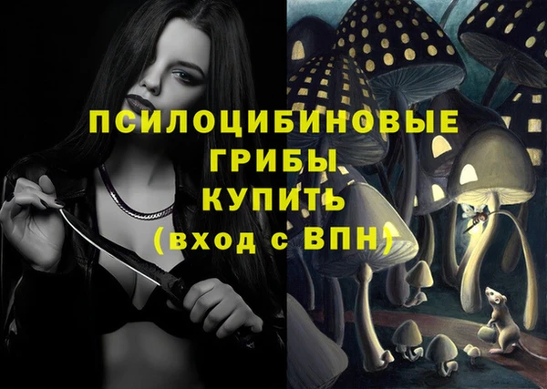 прущие крисы Богородск