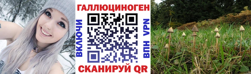 ссылка на мегу tor  Белая Холуница  Галлюциногенные грибы мухоморы 